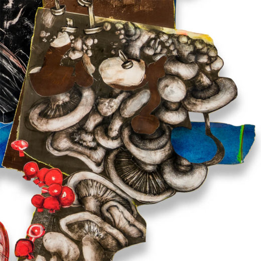 Just detail, mushrooms, 2019